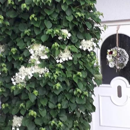 Gogelhopf Eg 아파트 *