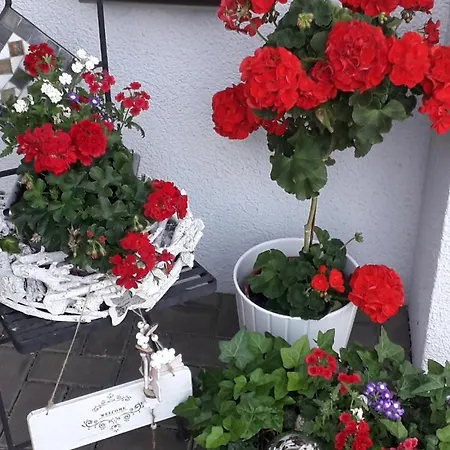 아파트 Gogelhopf Eg